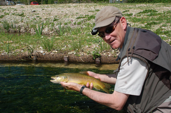 98499 River Bourne brown trout DSC 4062 resize