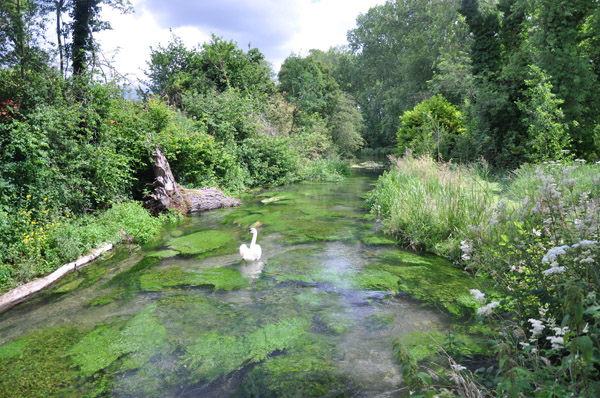 99487 SC Upper Itchen Mill leat restoration-97