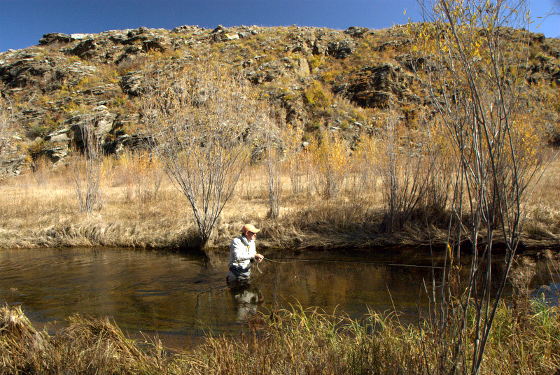 Flyfishin Mongolian Springcreek