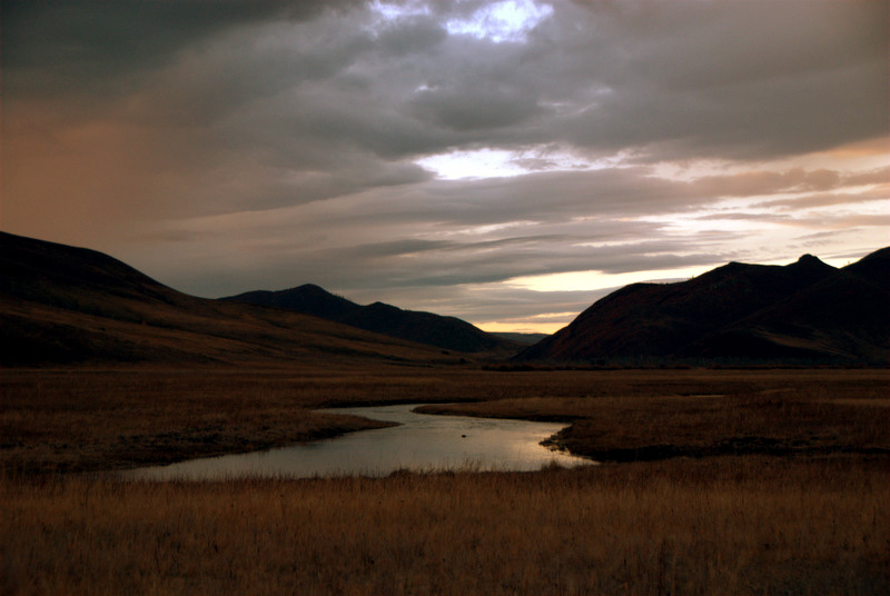 Flyfishin Mongolian Springcreek 2