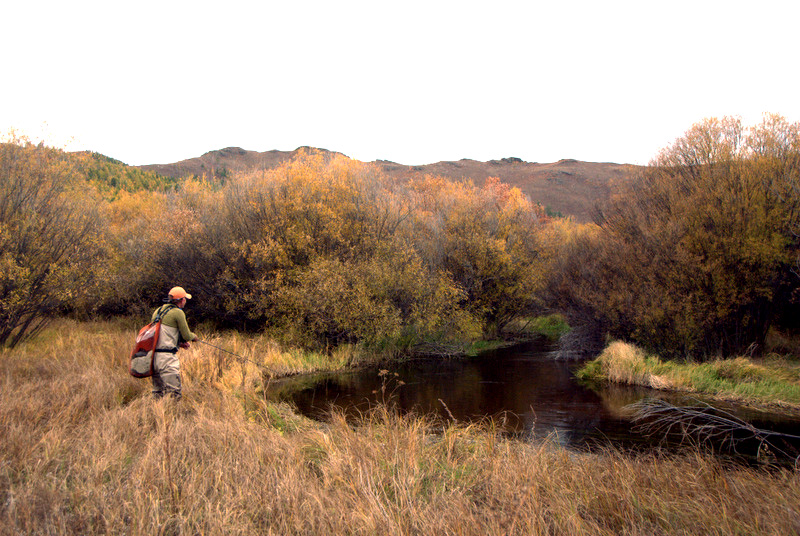 Flyfishin Mongolian Springcreek 3