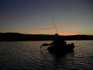 A trout in the last of the light