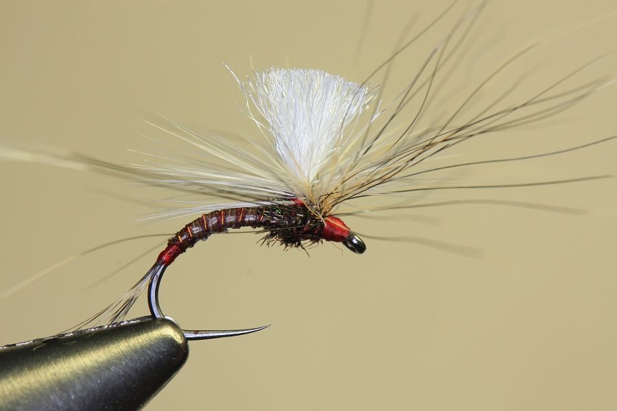 TYING PHILIP MEYER’S PARA-RAB