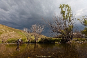 A FEW EXTRACTS FROM MY 25 MAY NEWSLETTER – Gerhard Laubscher’s Photography, Gierach’s ‘All Fishermen Are Liars’, the status of trout in South Africa, Balloch bride and more