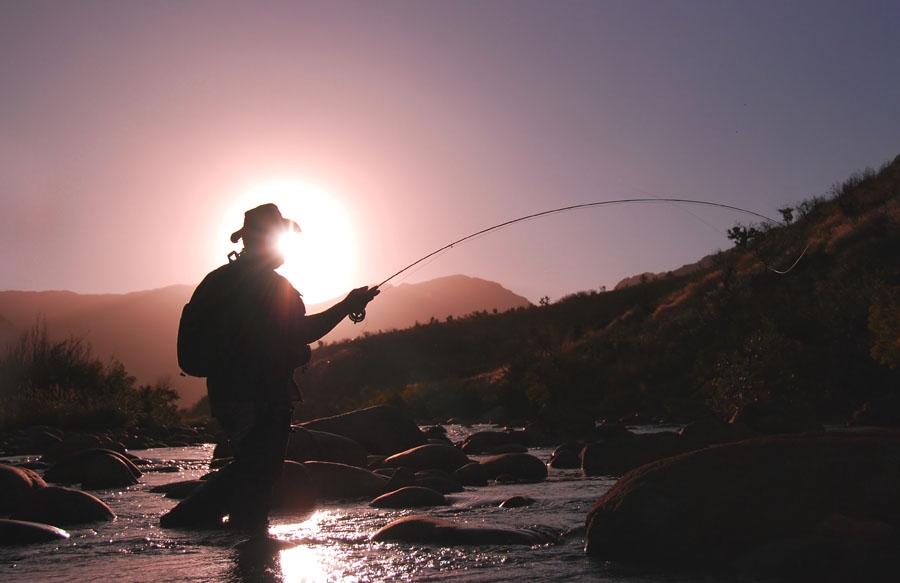 TRYING TO MAKE SENSE OF THE NATIONAL ENVIRONMENTAL MANAGEMENT: BIODIVERSITY ACT.  IAN COX, A DURBAN-BASED LAWYER, VOICES CONCERNS ABOUT THE FUTURE OF TROUT, BASS AND CARP FISHING IN SOUTH AFRICA