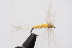 THE DRY FLIES OF OLIVER KITE