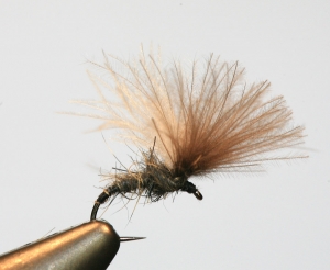 CDC – Part 2 from Gordon Van der Spuy&#039;s tying tips series – Adaptability, tying a useful Shuttlecock pattern and How to make a Plan!