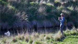 Fly fishing Monaro streams in the Snowy Mountains of Australia