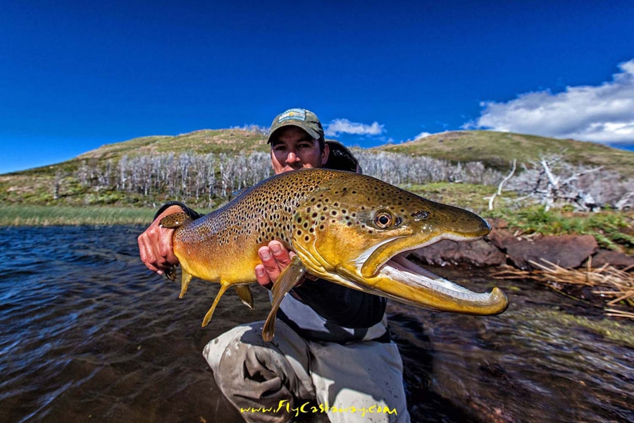 GERHARD LAUBSCHER’S DRAMATIC IMAGES FROM A RECENT TRIP TO PATAGONIA – A 29 inch brown trout, a magnificent spring creek and more…