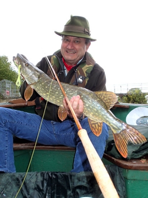Pike from the Thames on a Walt Dietrich bamboo fly rod. Pictures and words from Clem Booth