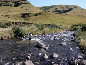 UPDATE ON FLY FISHING CONDITIONS IN KWAZULU-NATAL - Jan Korrubel reports