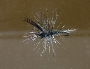 SLANT TANKS – a simple way to photograph flies through water or from underneath. Tom Sutcliffe.