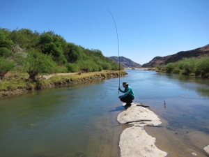 An interim hypothesis on the suitability of tenkara for yellowfish by Ed Herbst.