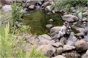 On small streams, bamboo and the meaning of life