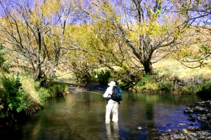 A MEDLEY OF IMAGES ON FLY FISHING VREDERUS AND SURROUNDING STREAMS