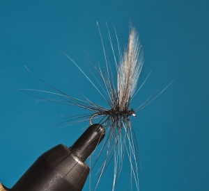 Keeping dry flies afloat – by Ed Herbst