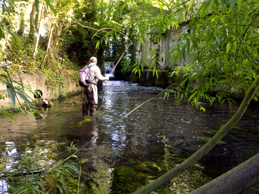 THE RIVER WANDLE, LONDON’S TINY AND VERY HISTORIC CHALK STREAM