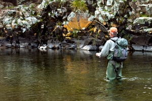 Photo essay on a premier fly stream, the Sterkspruit