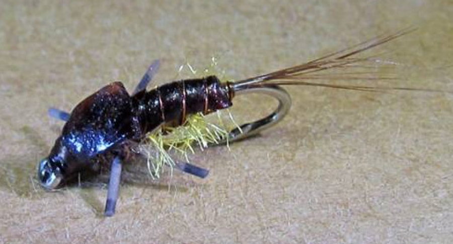 TYING GILL-BODIED NYMPHS - Text and images by Andrew Fowler