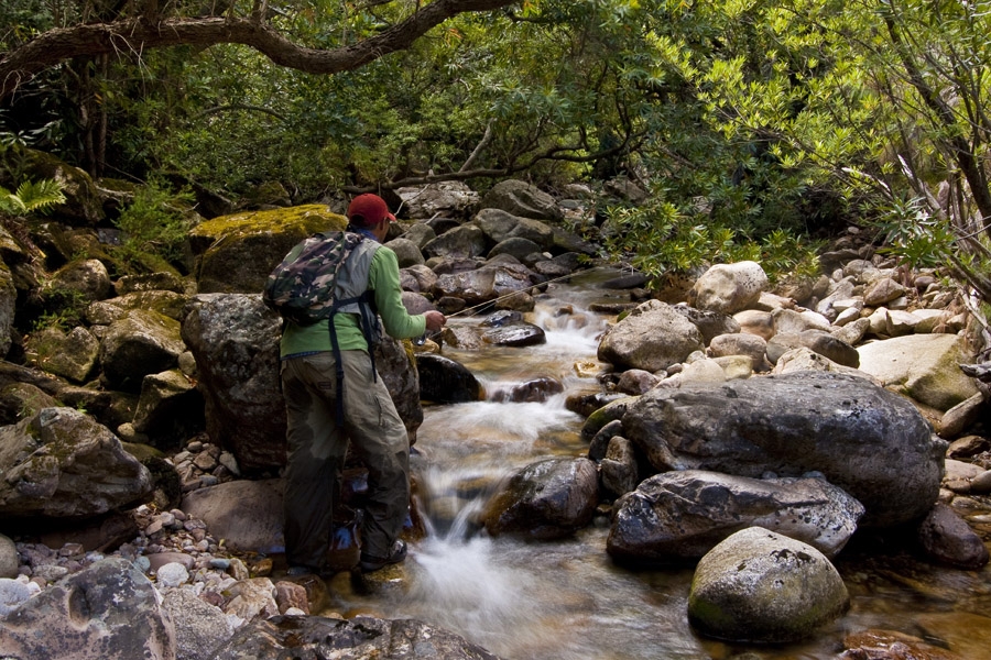 Exploring the Wemmers River in the Western Cape Stanton Hector makes some disturbing discoveries