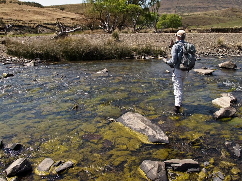 13. Thin runs on the Sterkspruit were full of fish