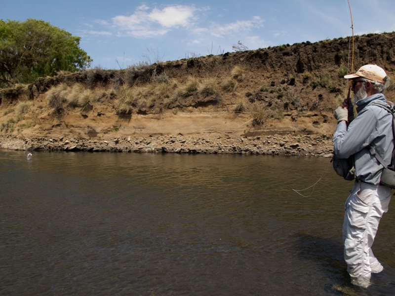 16. Leaping trout Sterkspruit