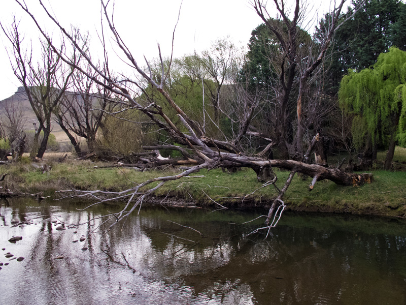 4 a. The Bokspruit at the Welgemoed bridge