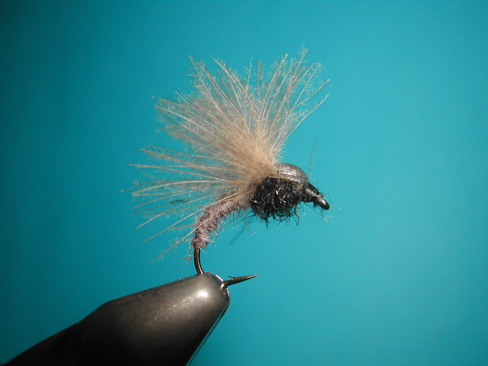  - Agostino_Roncallo_Upset_Hackle_dry_fly_1