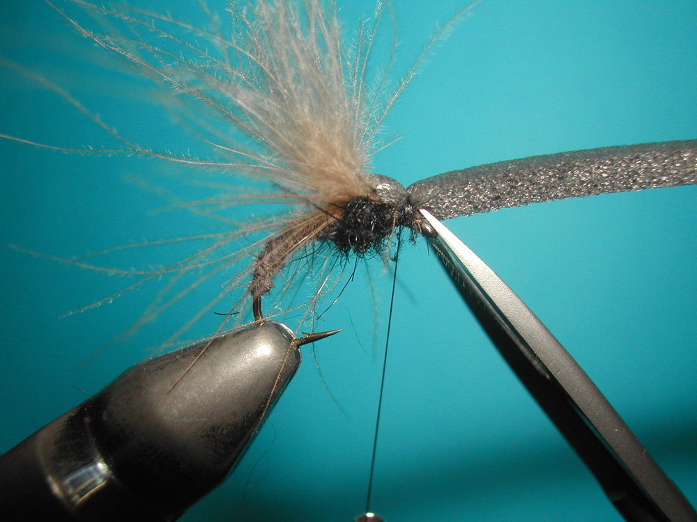 Agostino Roncallo Upset Hackle dry fly 10