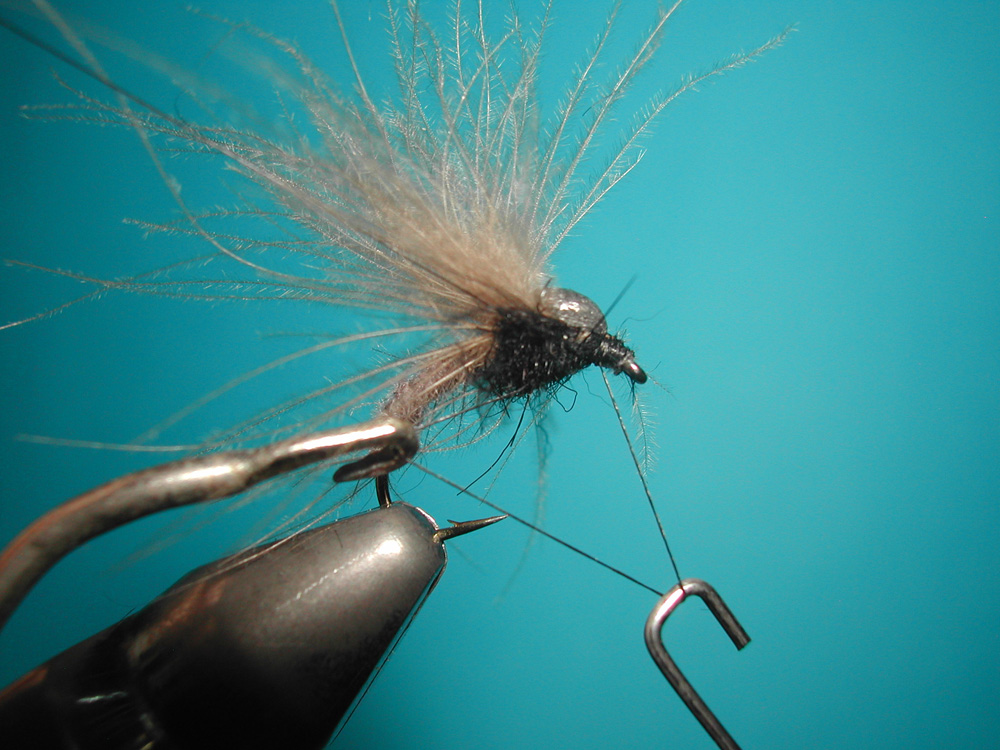 Agostino Roncallo Upset Hackle dry fly 11