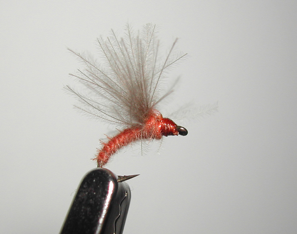 Agostino Roncallo Upset Hackle dry fly 14