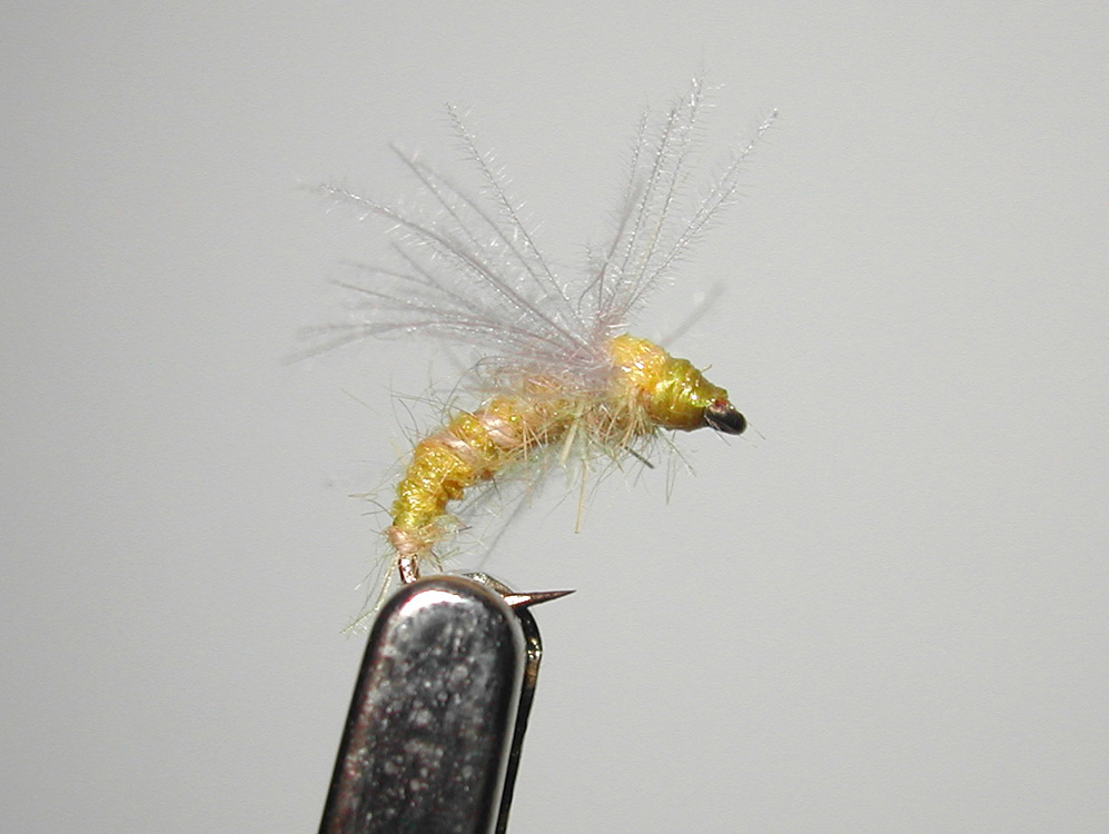 Agostino Roncallo Upset Hackle dry fly 15