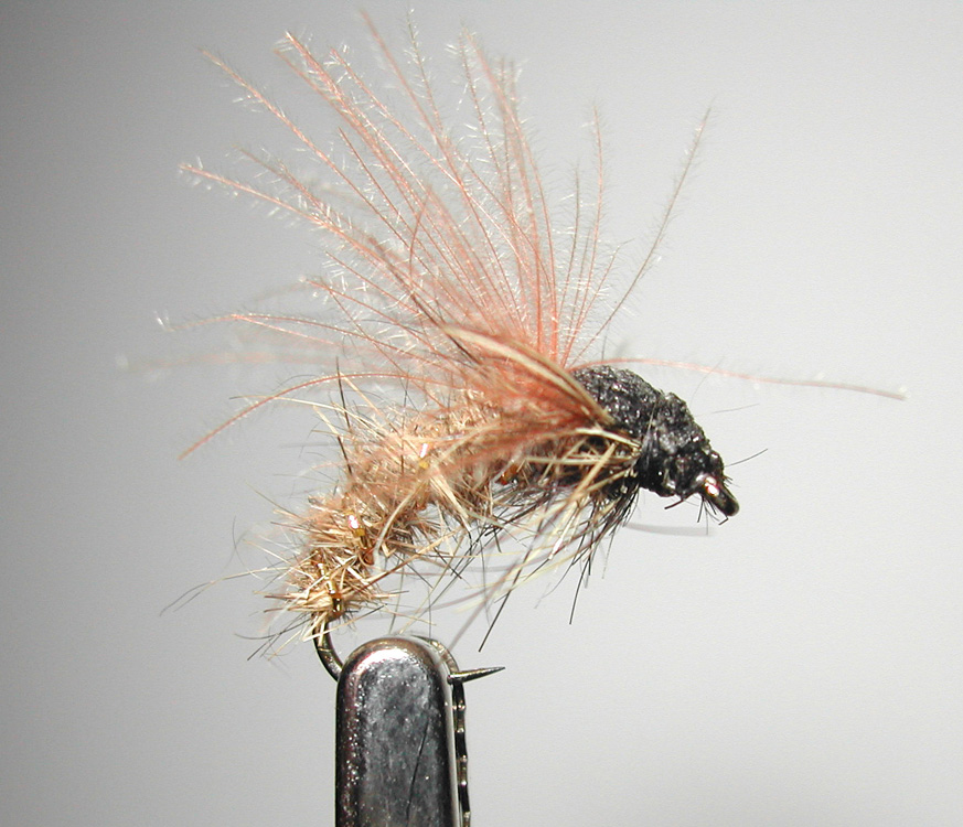 Agostino Roncallo Upset Hackle dry fly 16