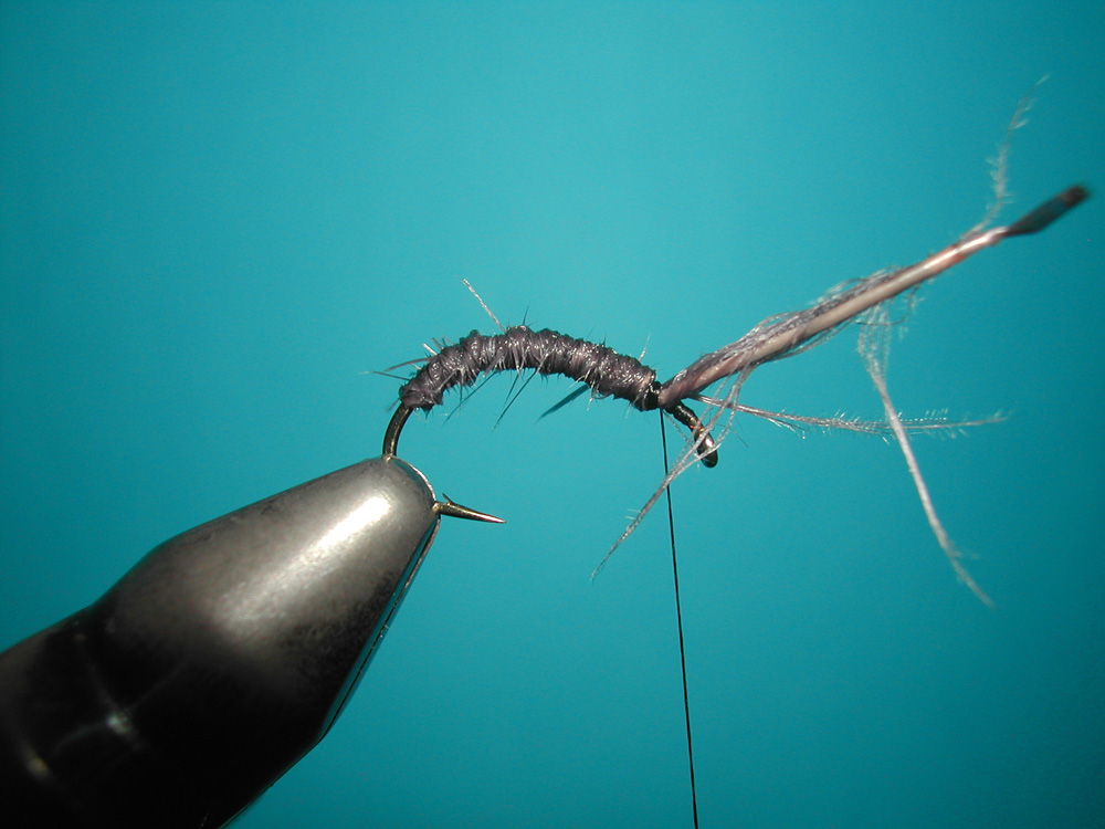 Agostino Roncallo Upset Hackle dry fly 3