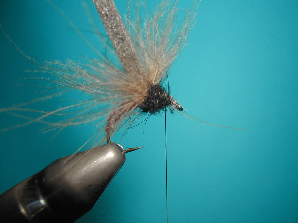 Agostino Roncallo Upset Hackle dry fly 8