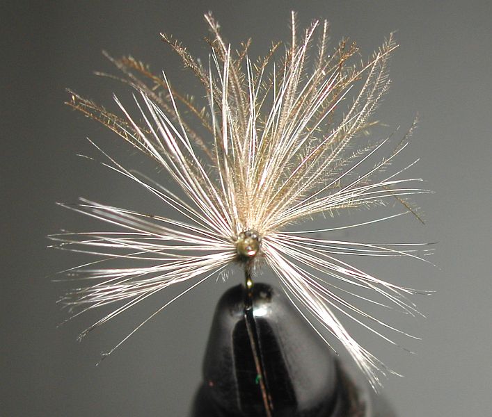 Agostino_Roncallo_slit_hackle_dry_fly_1