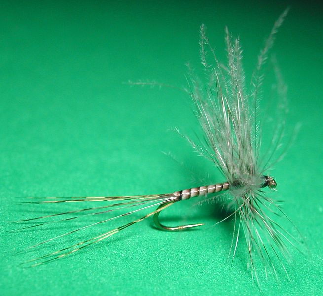 Agostino_Roncallo_slit_hackle_dry_fly_3