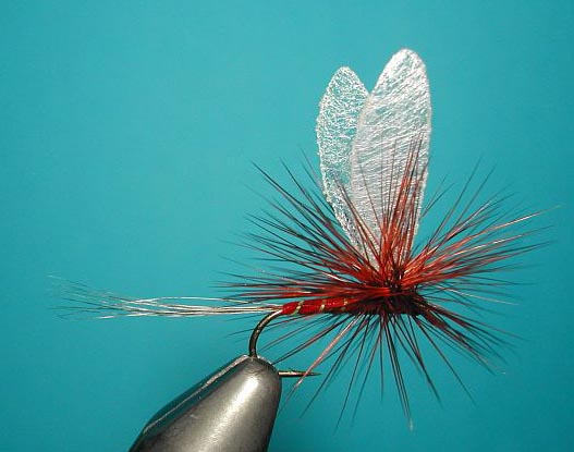 Agostino_Roncallos_winged_Paraloop_dry_fly_3