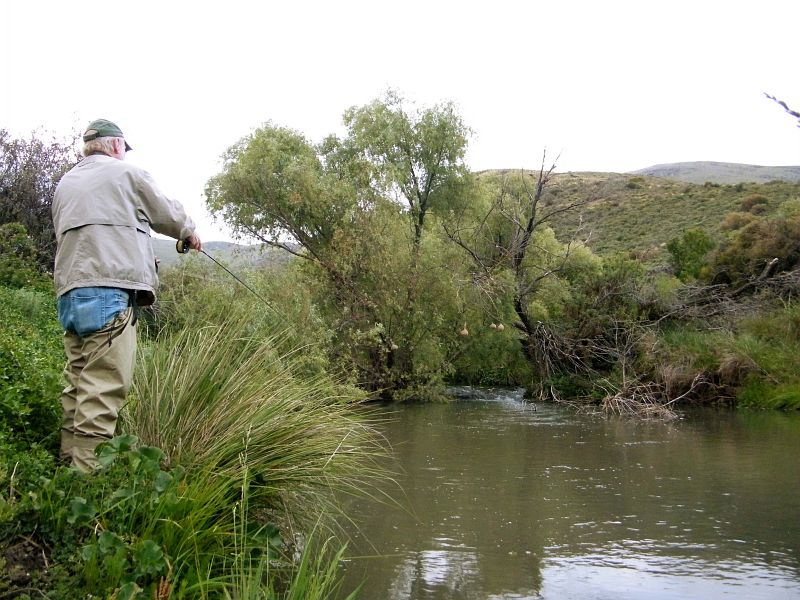 Banksberg_Trout_Somerset_East_2