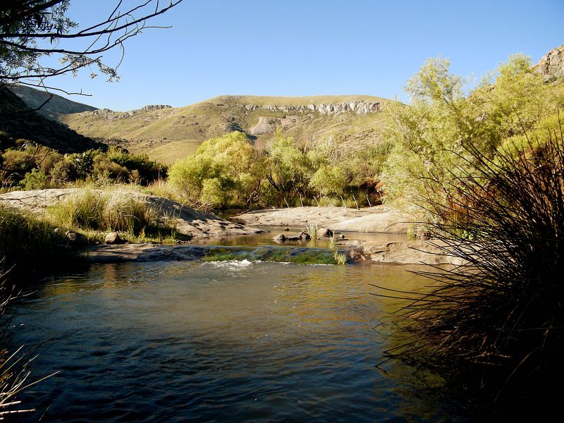 Banksberg_Trout_Somerset_East_4