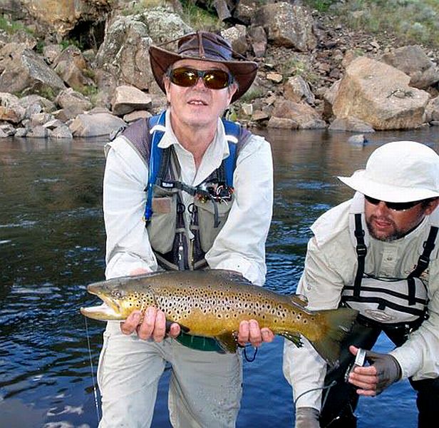 Brown_trout_Lesotho_5