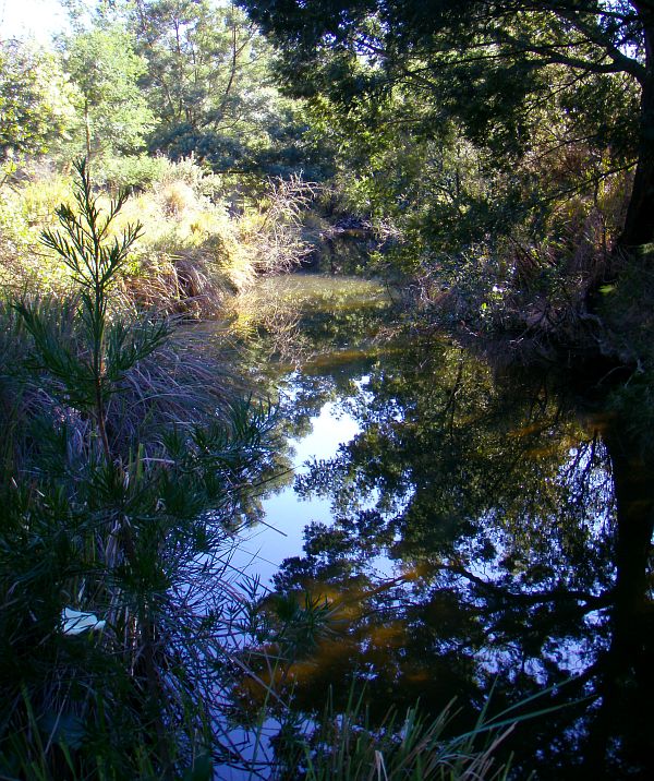 Cata_River_Pool