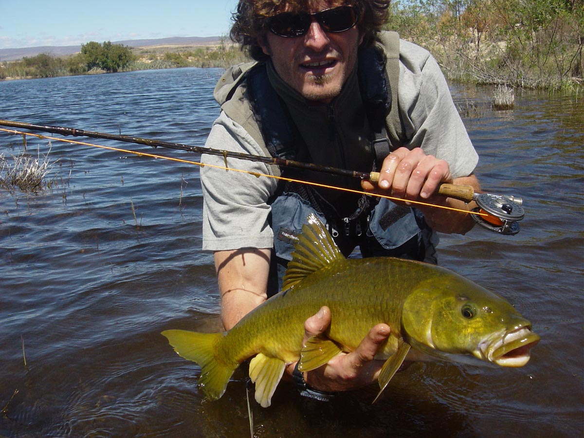 Clanwilliam_yellowfish_per_Chris_Bladen