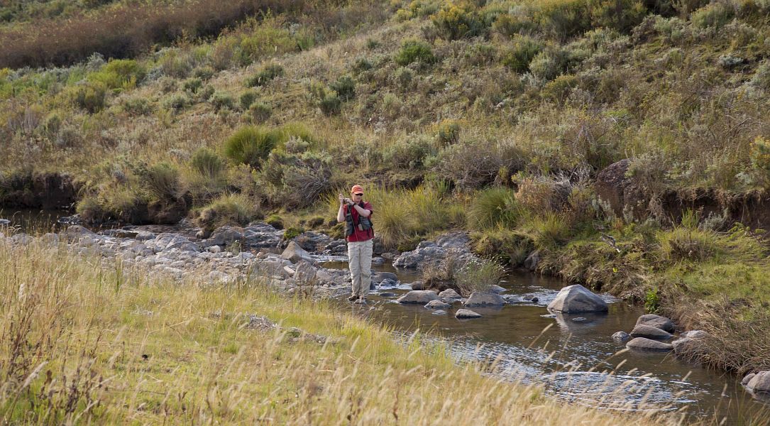 Coldbrook_stream_Eastern_Cape_11