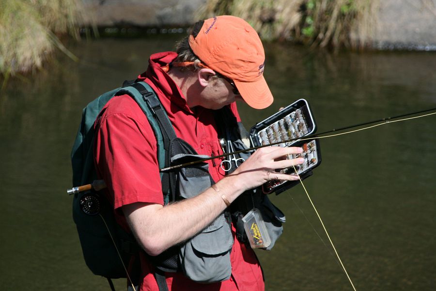 Coldbrook_stream_Eastern_Cape_14