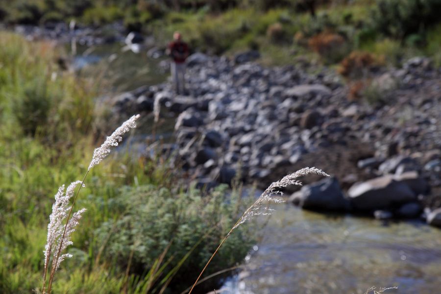 Coldbrook_stream_Eastern_Cape_17