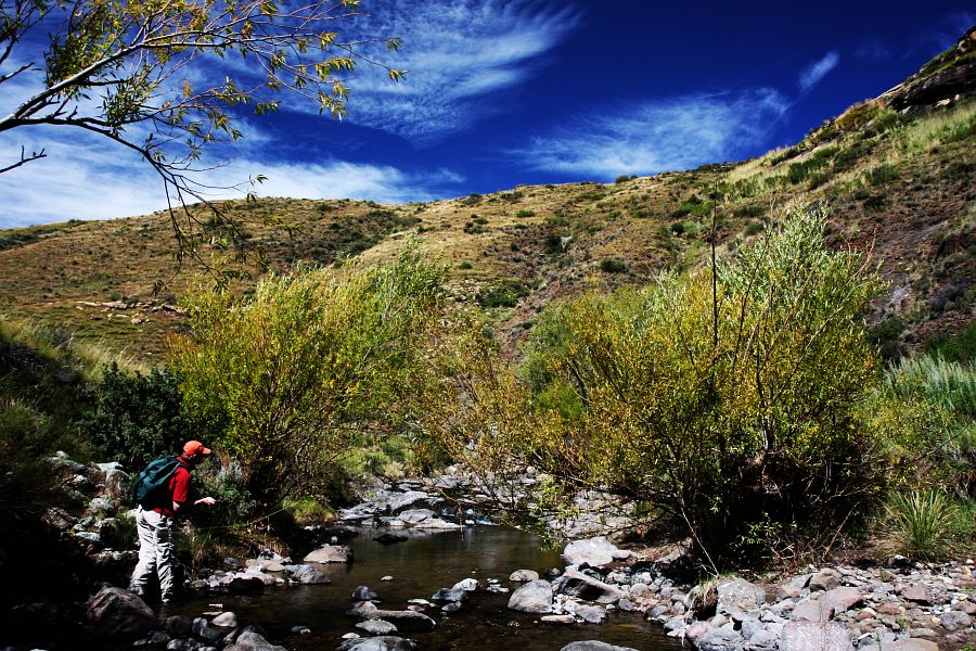 Coldbrook_stream_Eastern_Cape_5