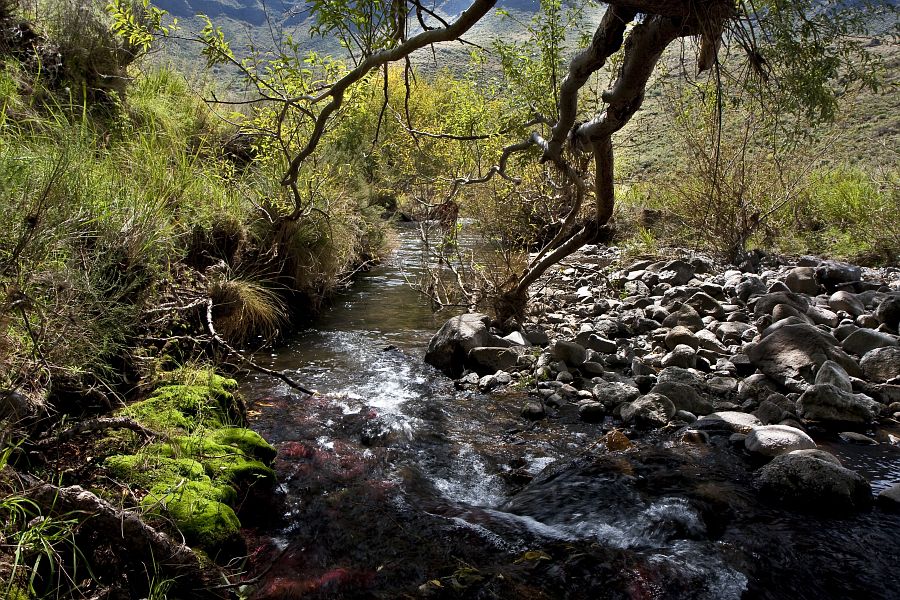 Coldbrook_stream_Eastern_Cape_6