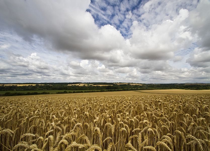 A_view_of_the_Test_valley