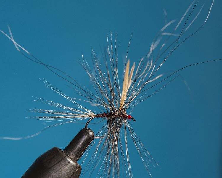 _A_FINAL_RAB_WITH_DUN_HACKLE